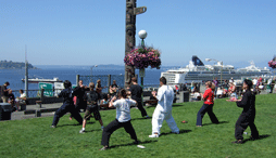 People practice kung fu in small Seattle park 